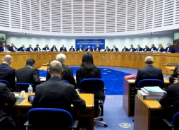 Минюст: ЕСПЧ поддержал позицию российских судов по 11 делам
