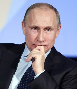 Путин доработает проект амнистии с депутатами Госдумы