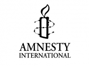 Amnesty International хочет защитить ЕСПЧ от посягательств 