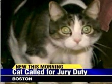 Животное вызвали в суд в качестве присяжного