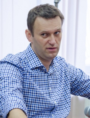 Госдума и СПЧ увидели в твите Навального угрозу судьям
