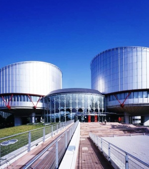 Соответствие законов РФ Конвенции о правах человека сократит поток жалоб в ЕСПЧ