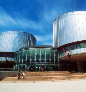 В Страсбургском суде на рассмотрении 111 тысяч дел