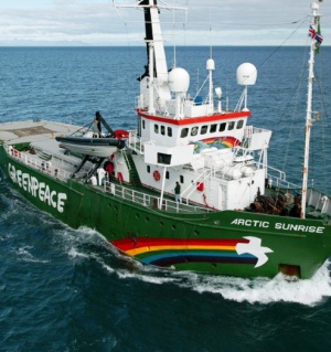 Активисты Greenpeace подали в ЕСПЧ жалобу на РФ