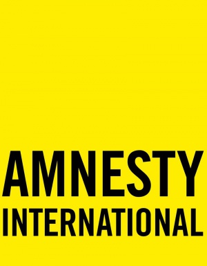 Amnesty International: в РФ систематически нарушаются права человека
