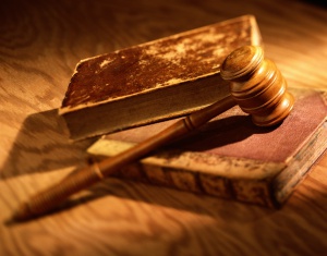 Растительный мир закона: 5 интересных фактов о флоре судебной системы