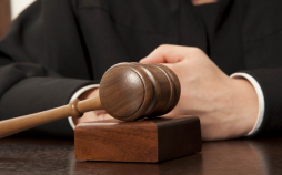 Подтверждено уголовное дело в отношении экс-судьи Надежды Фроловой, сбившей женщину на "зебре"